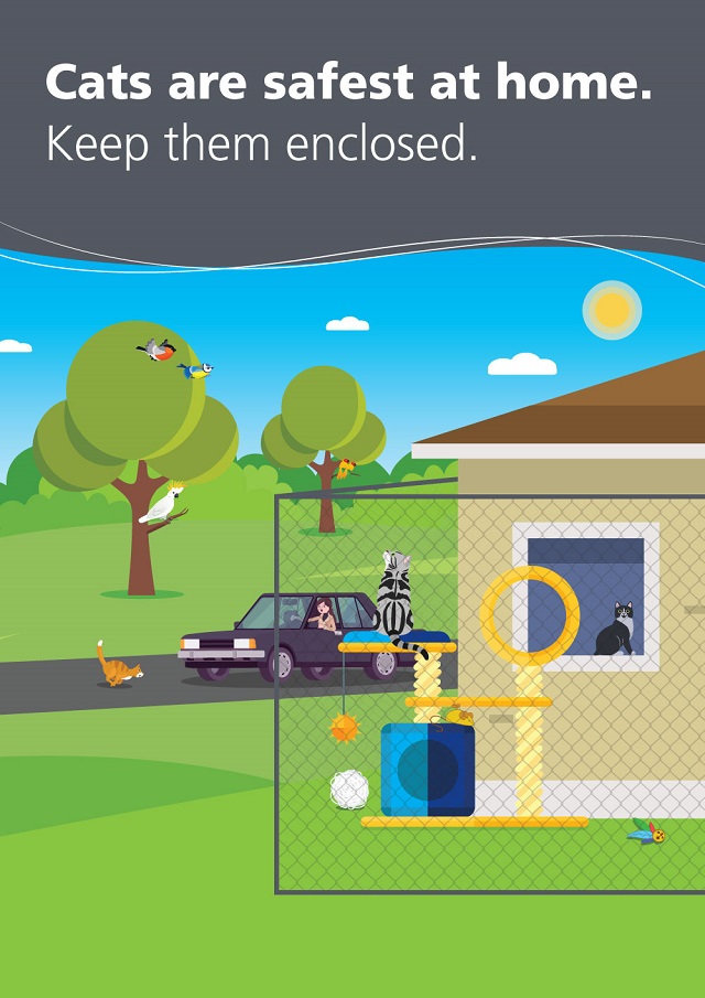 Cats City of Rockingham